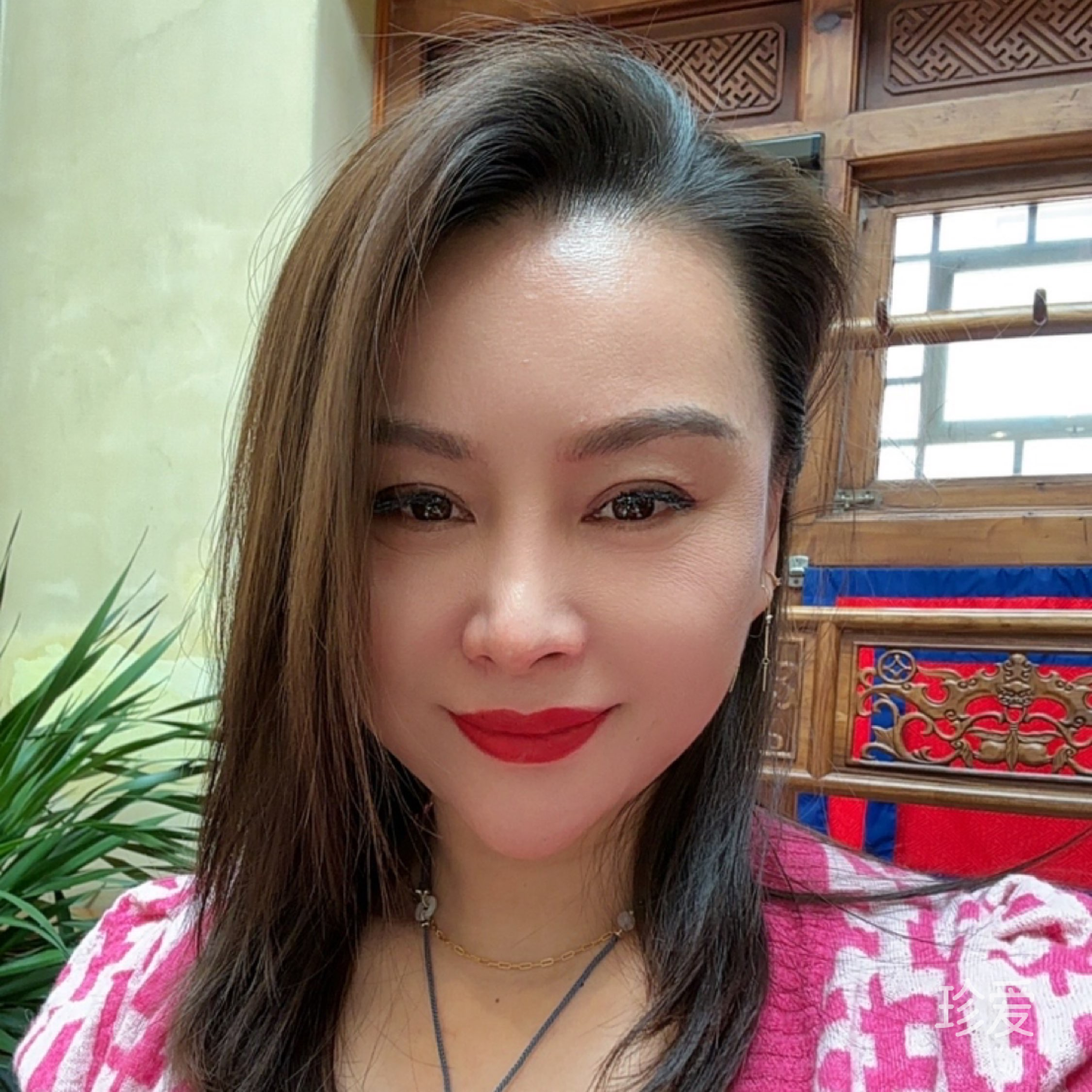 又见蔷薇花开又见