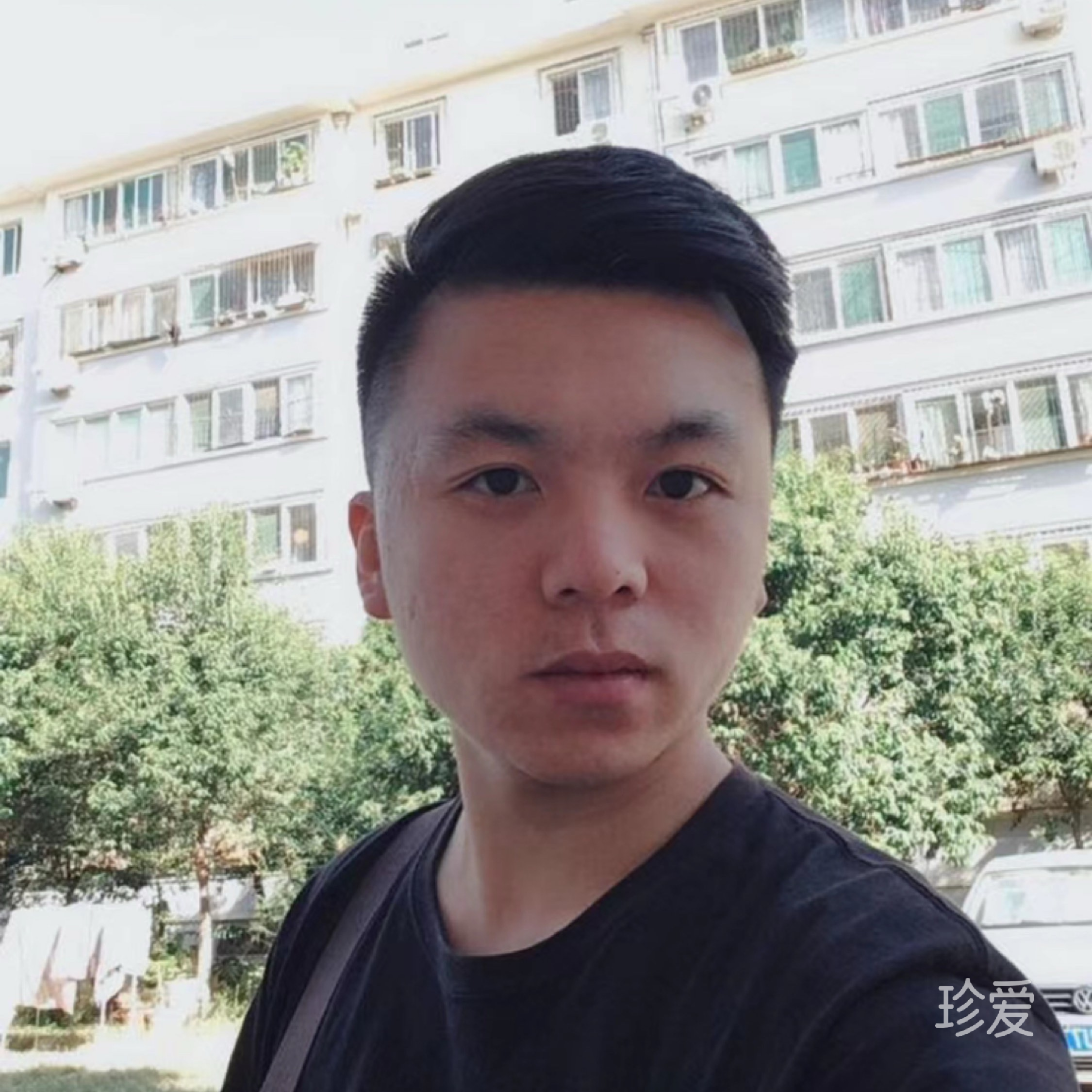 雪狼狐