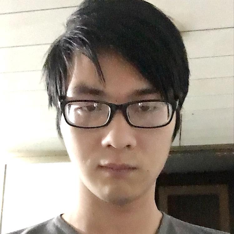 飞翔的猪