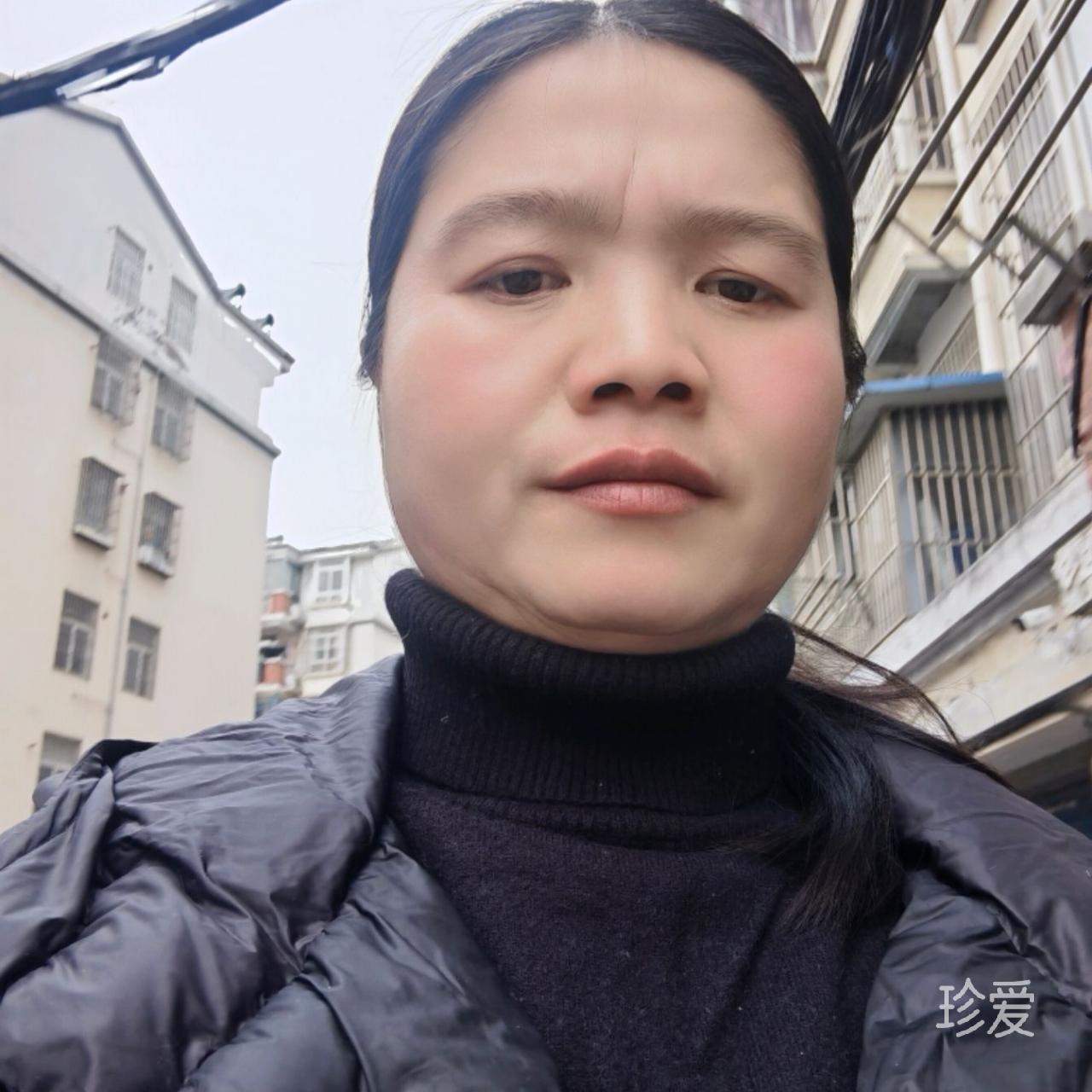 又见蔷薇开