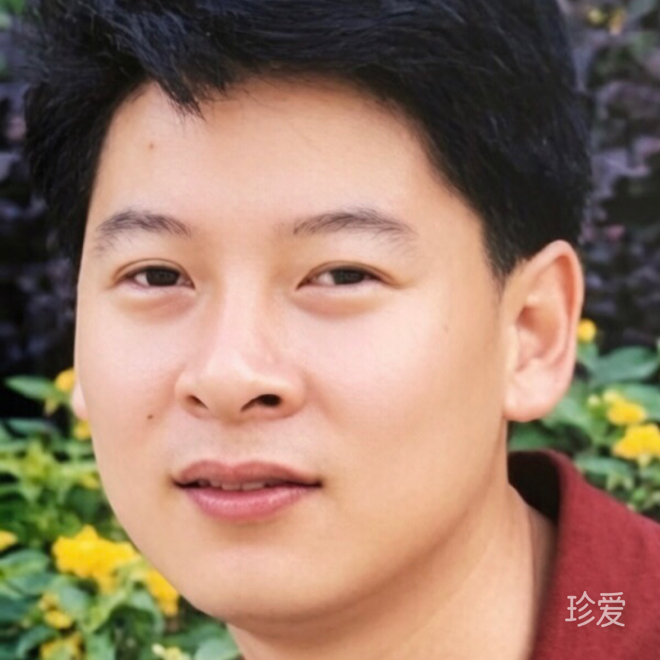 半盏清茶