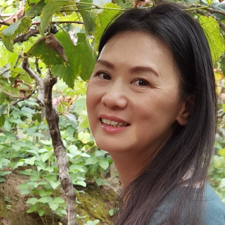 丁香菇?jīng)?></a></div> <div   id=