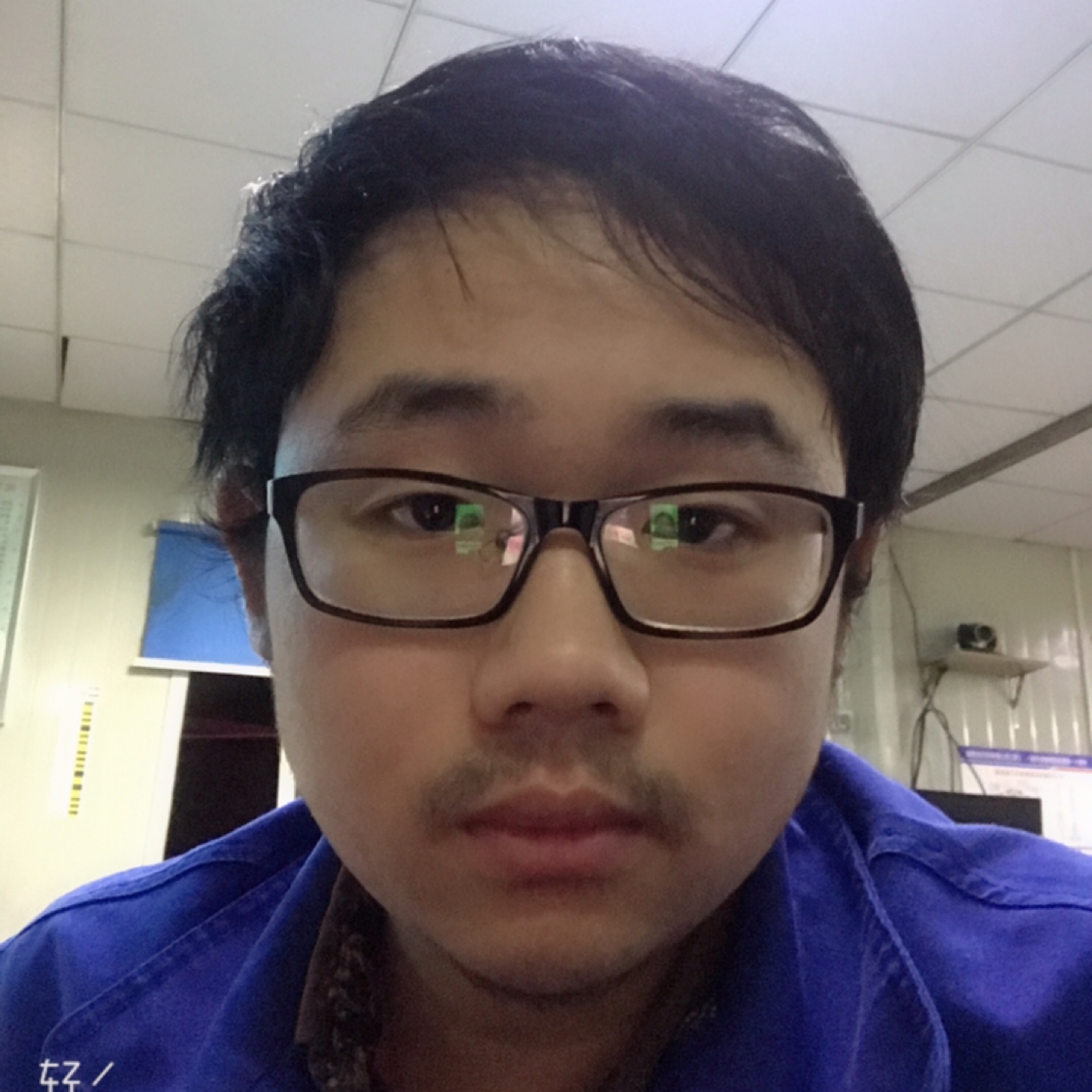 心底有棵枇杷樹