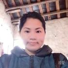 梧桐