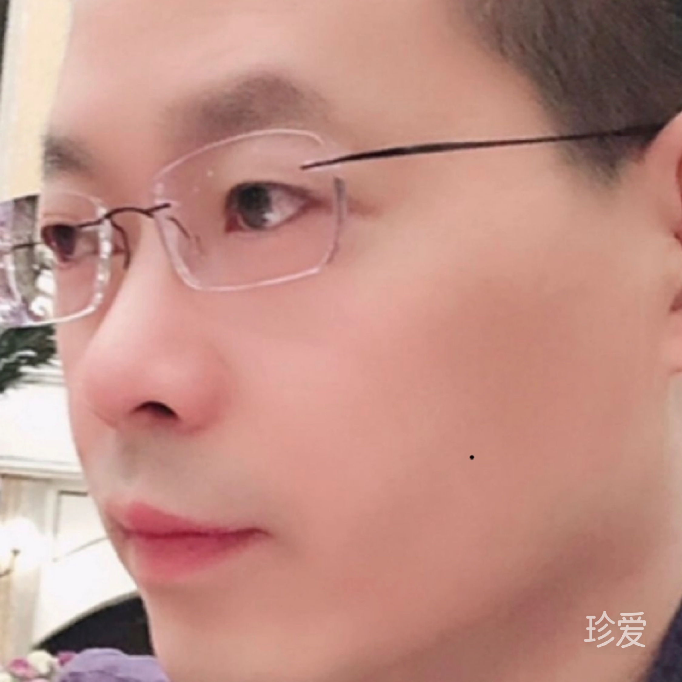 会飞的鱼