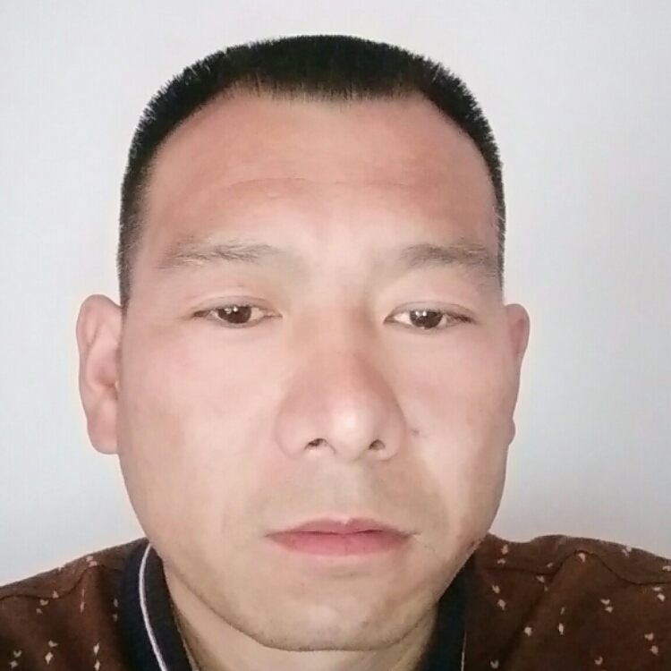 你真心我也真心