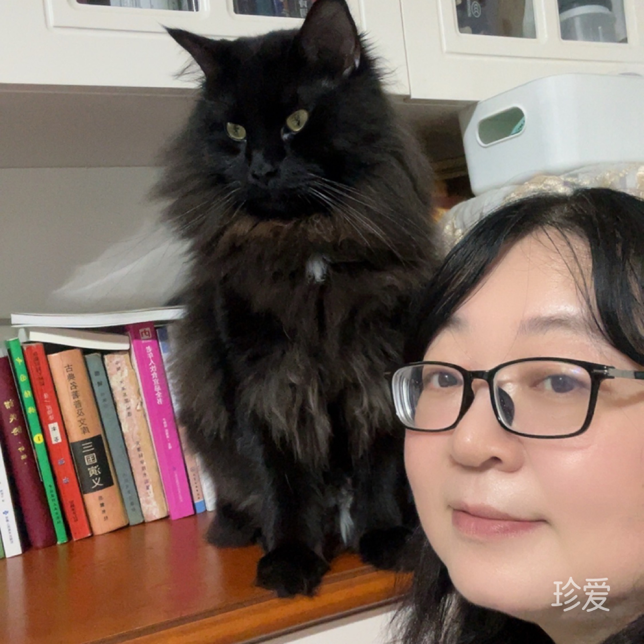 口是心非的话痨