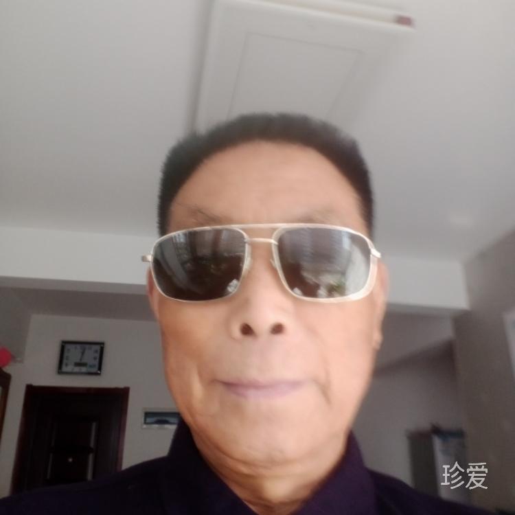 不老松

不老松