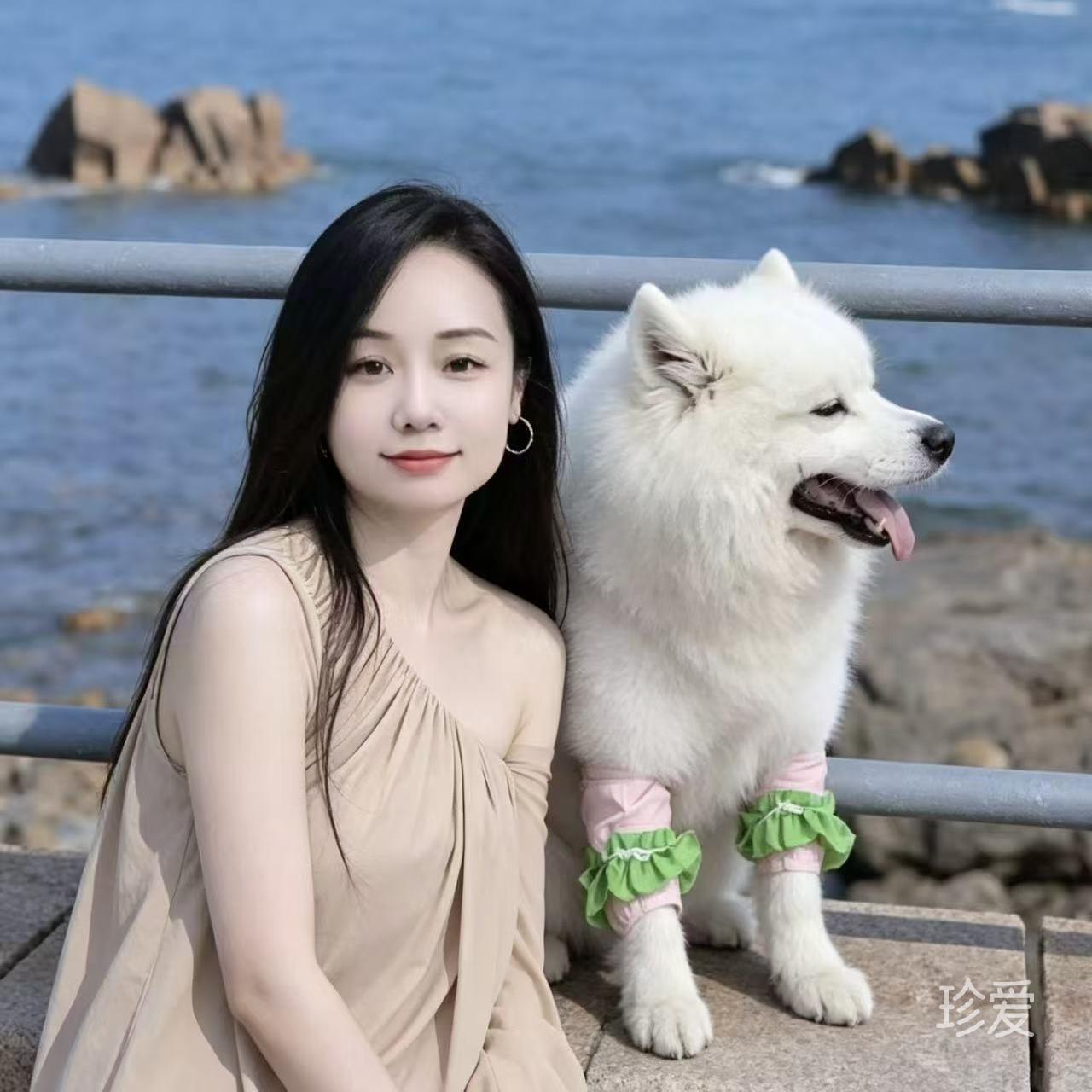 紫色百合