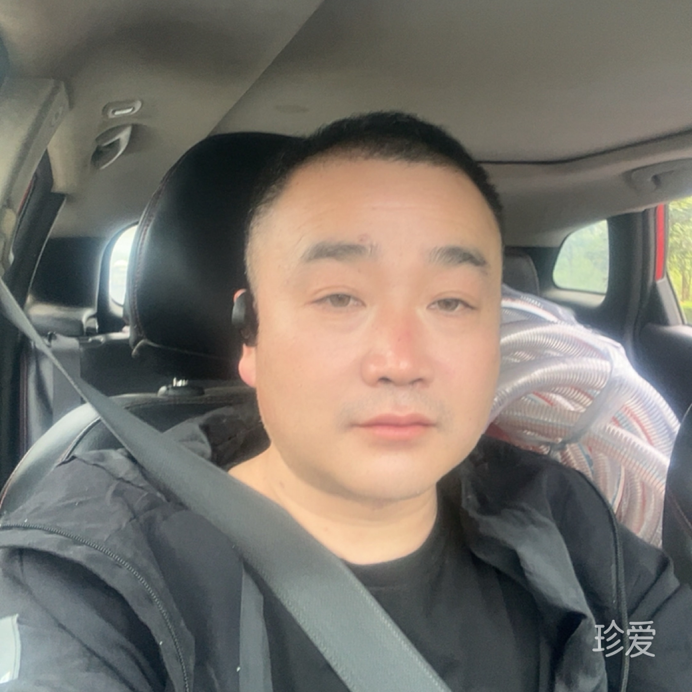 小倔強