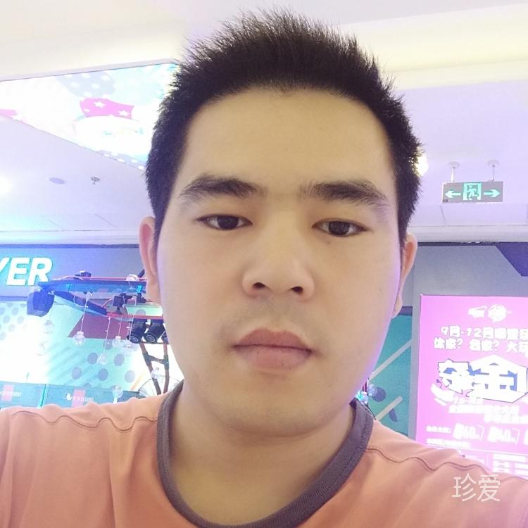 杨杨