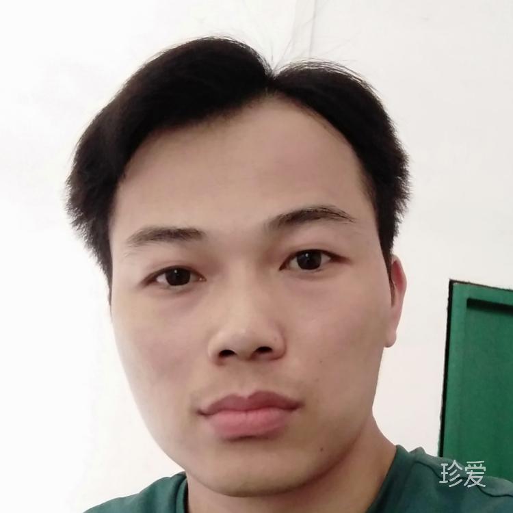 龙的传人