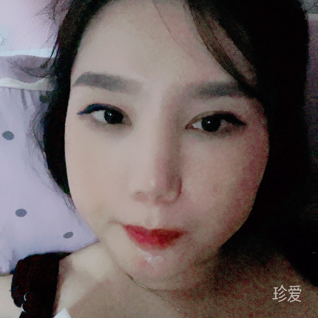 寻找翅膀的鸟