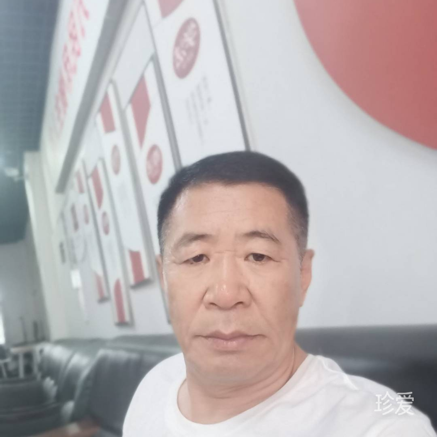 龙七