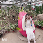 梅竹蘭菊柳岸松溪