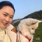 靜靜的等待
