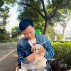 順德容桂找對(duì)象