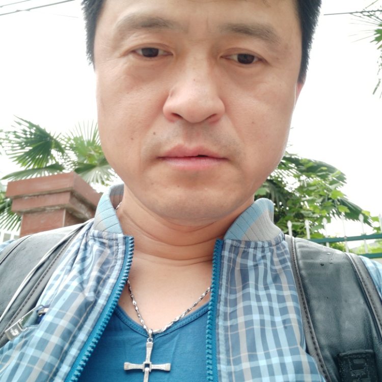 微奔馳的駿馬張健