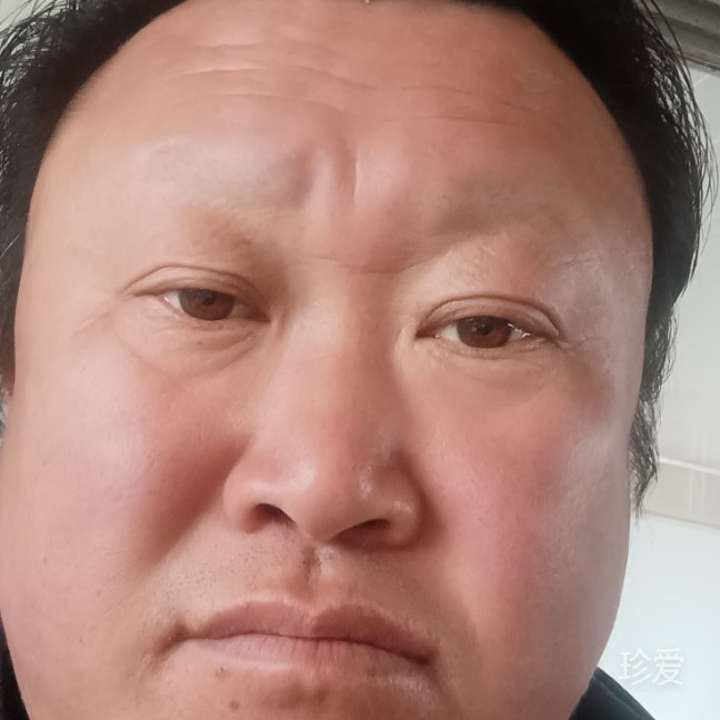 只为我的爱