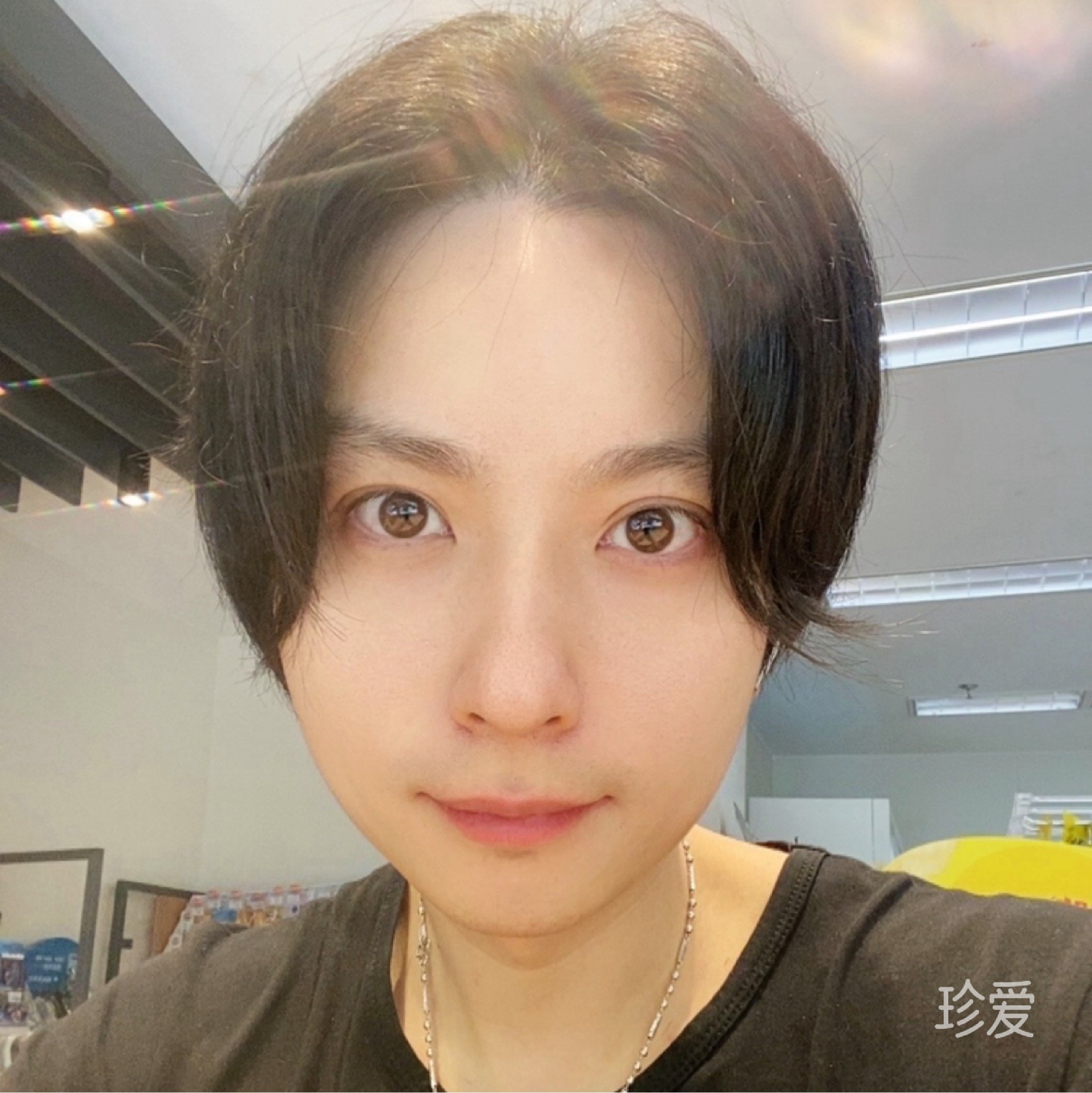 兔子头
