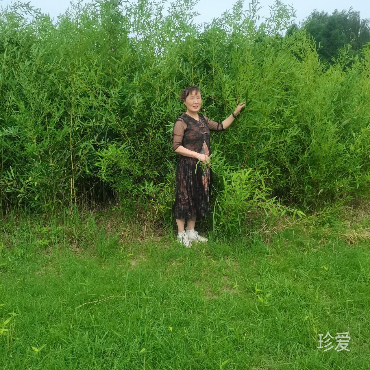 小谗猫