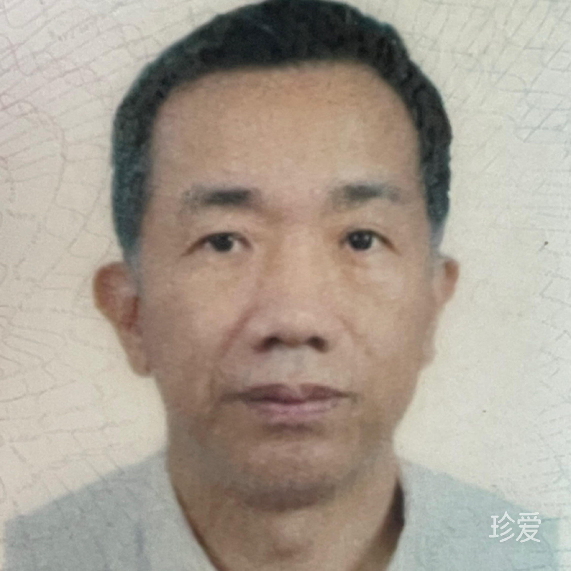 顺留