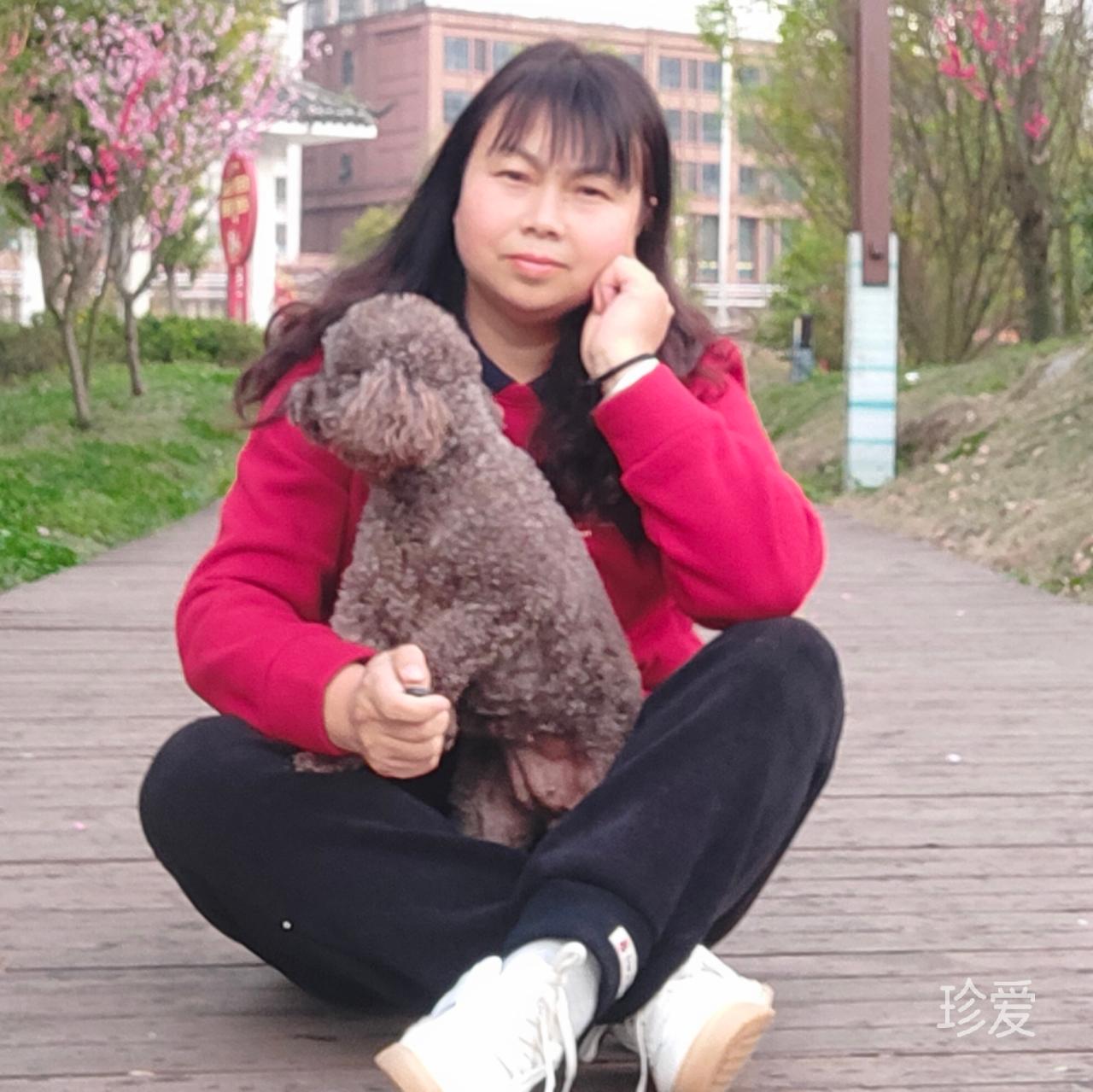 风吹草木