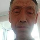 愛上魚的貓