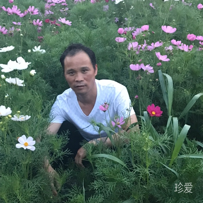 真誠比什么都重要