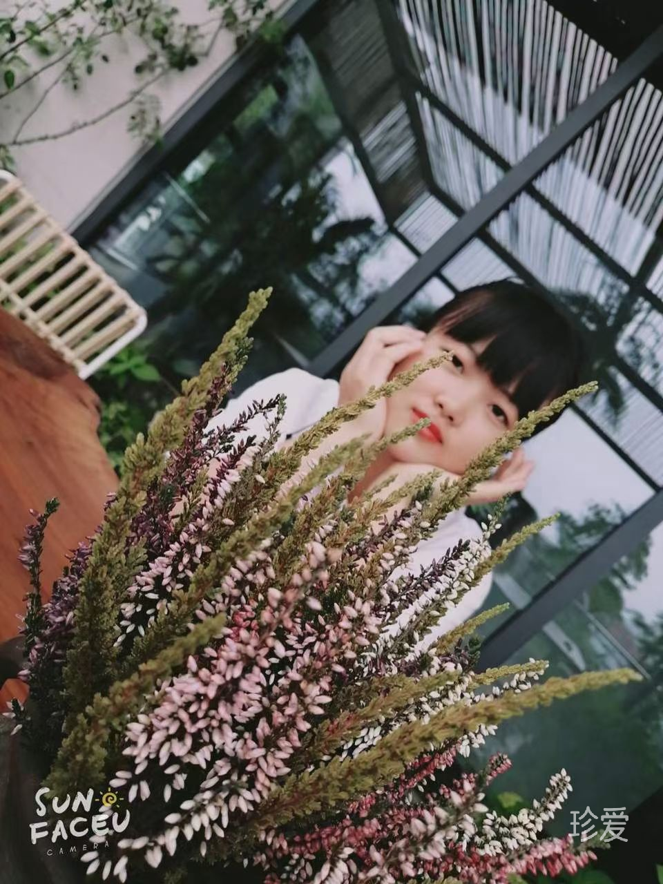 光天化日的星星