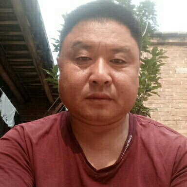 新乱世佳人未来