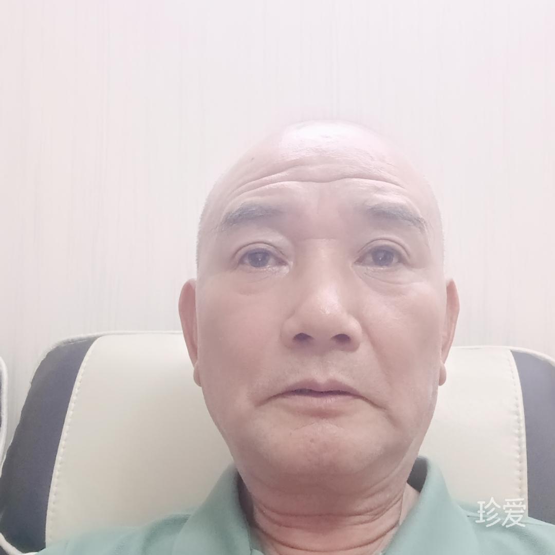 森林之星