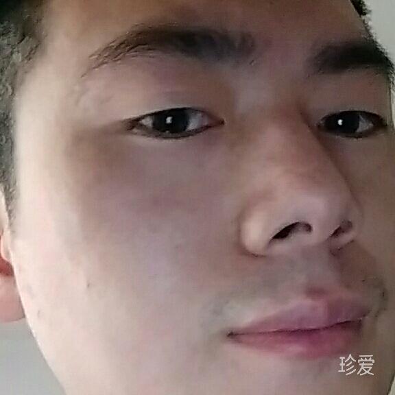 自由翱翔