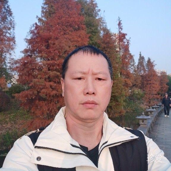 人生如画
