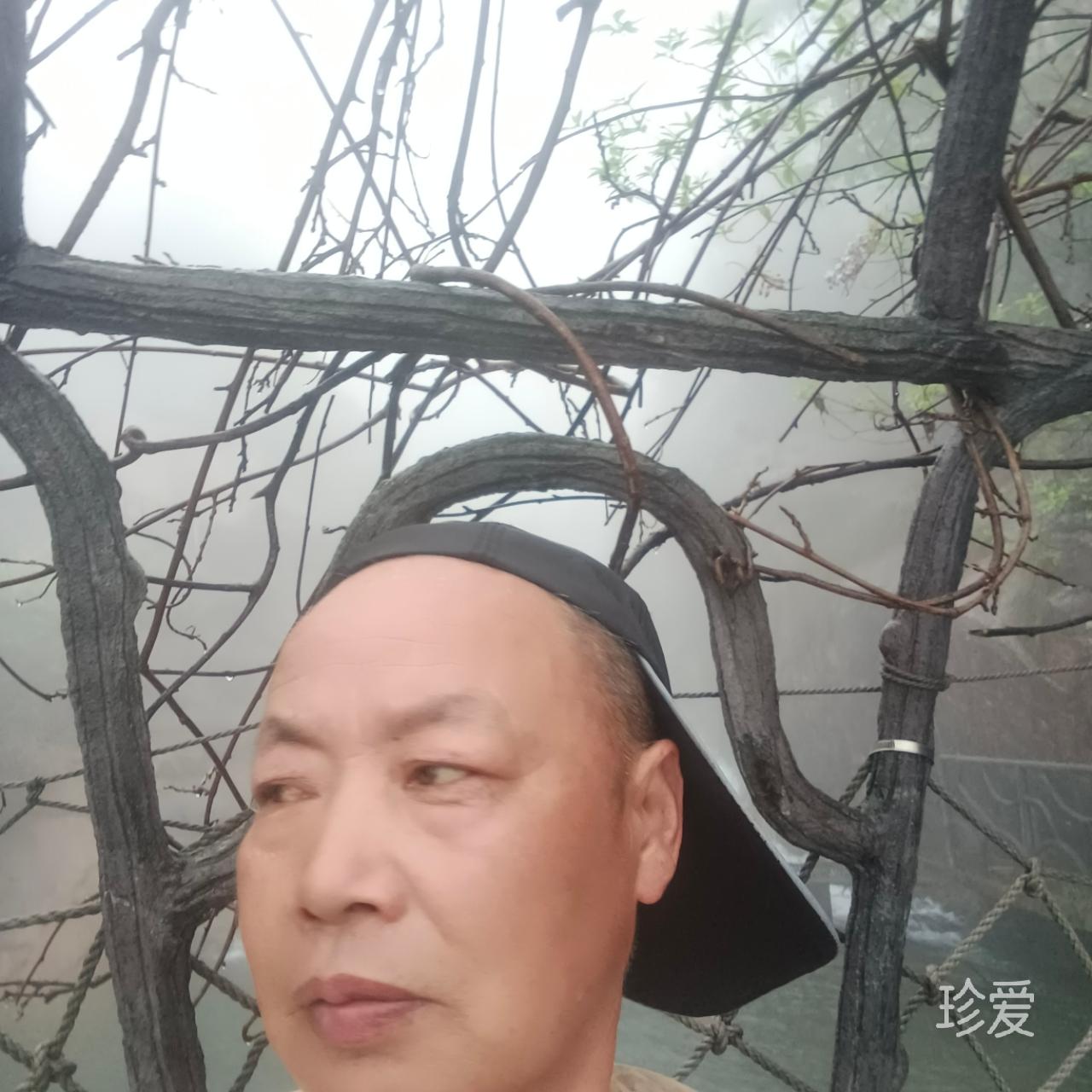 诚实善良