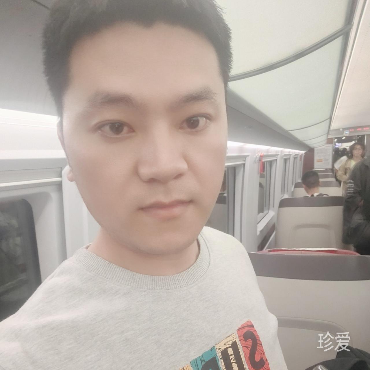 雨后玫瑰