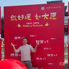 愛意隨風(fēng)起