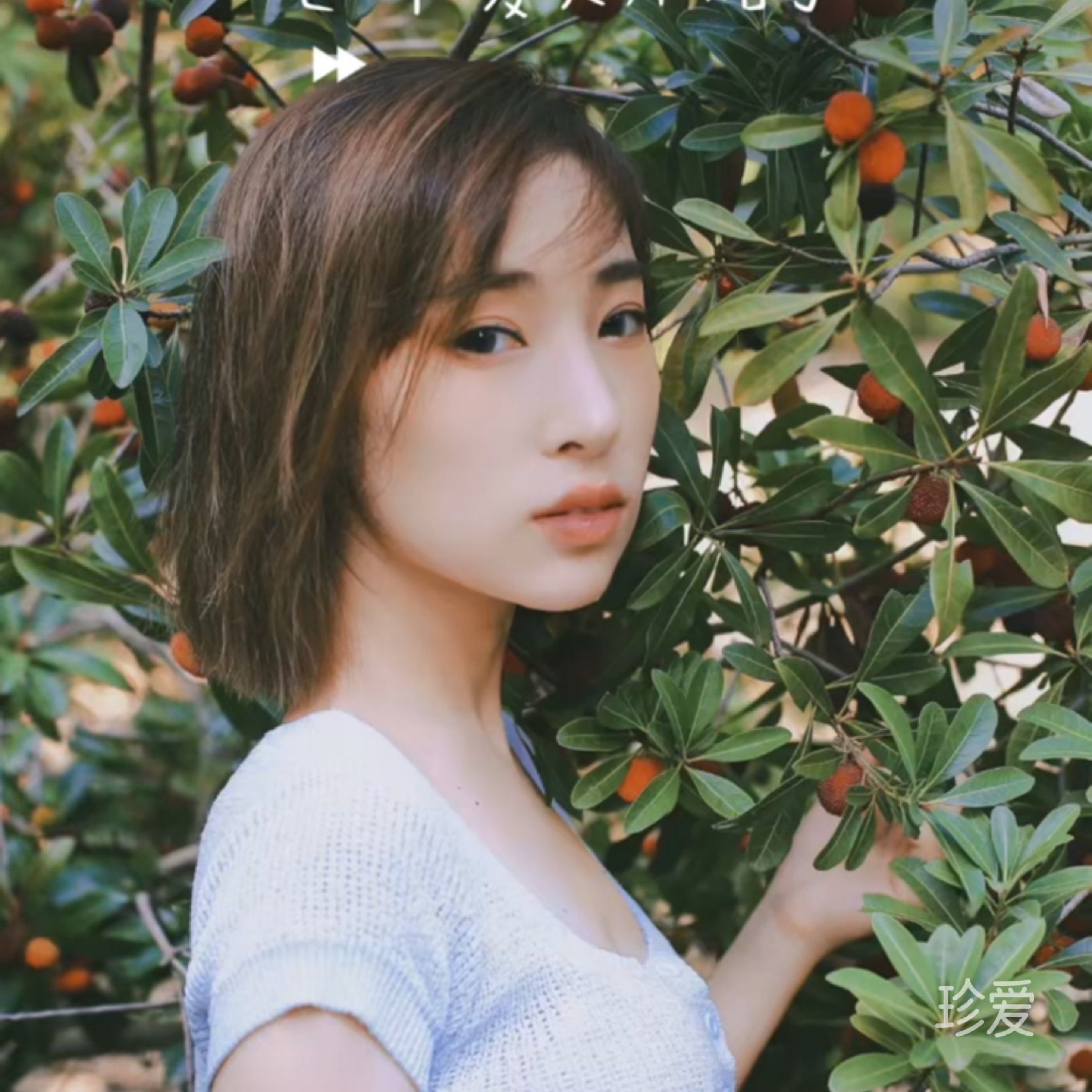 王珮帆