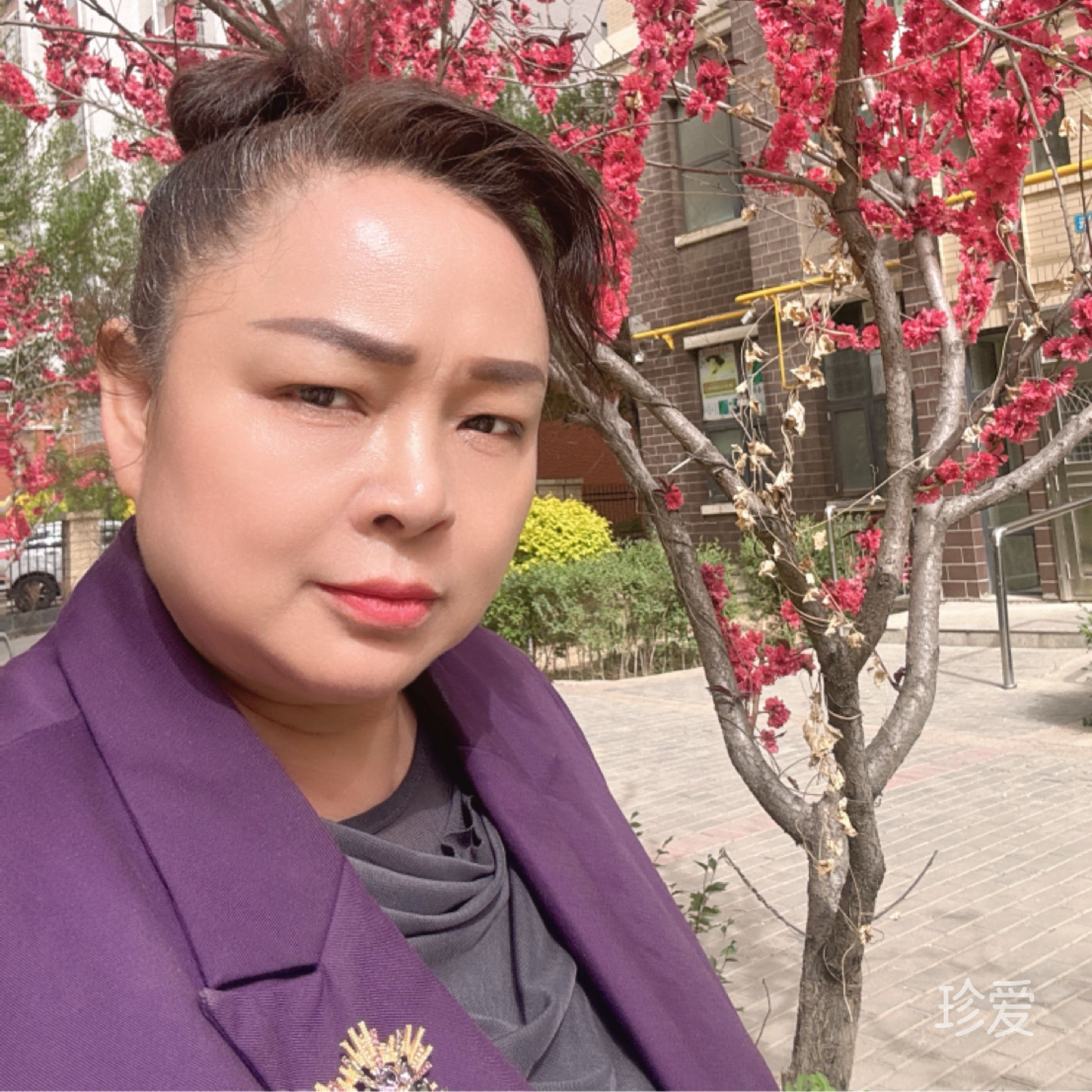 一个人的清欢