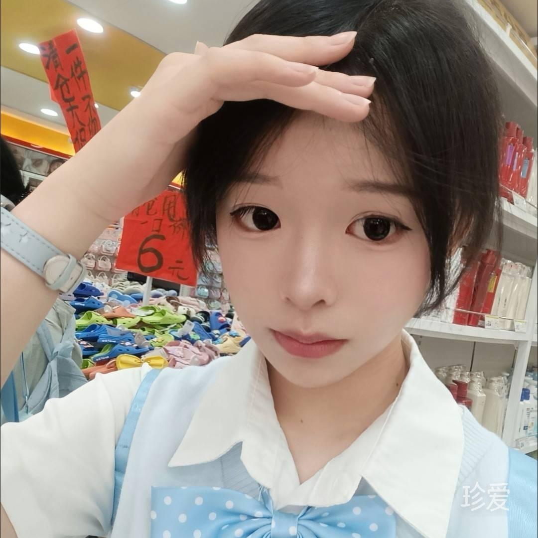 布偶