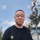 梧桐語