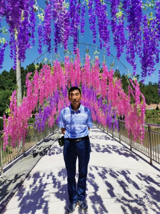 期待心中的爱人