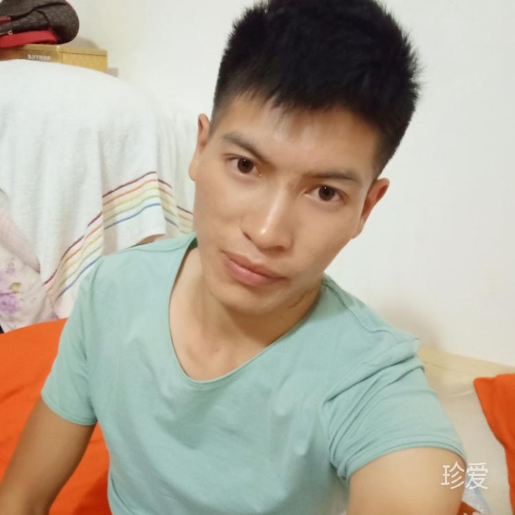 细心的烈马