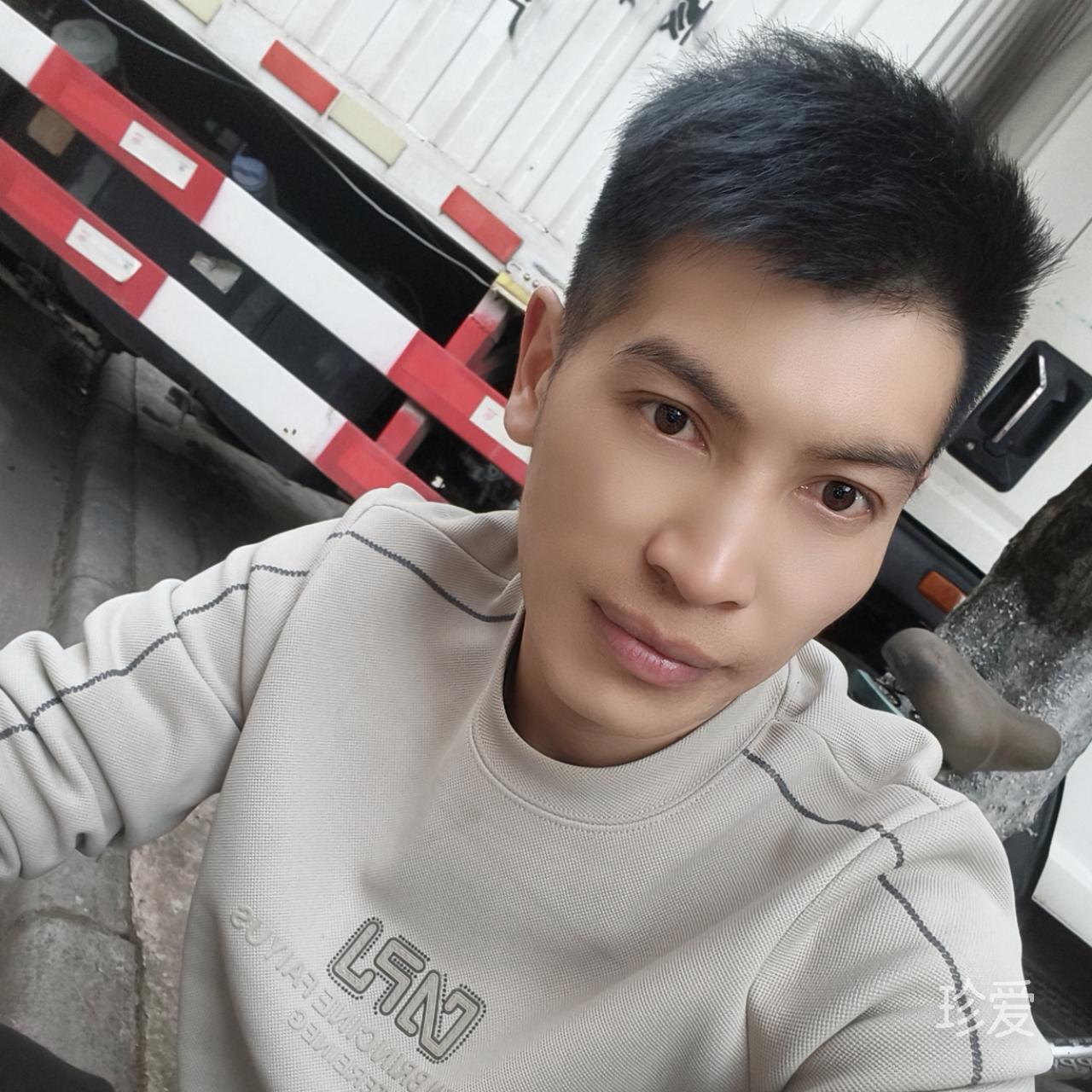 细心的烈马