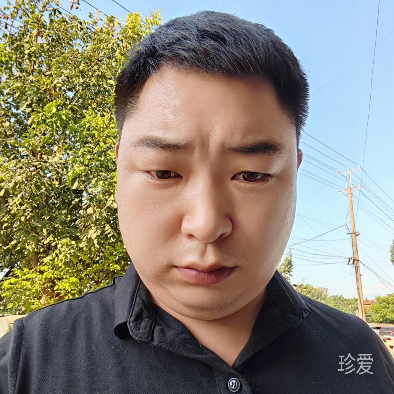 张张