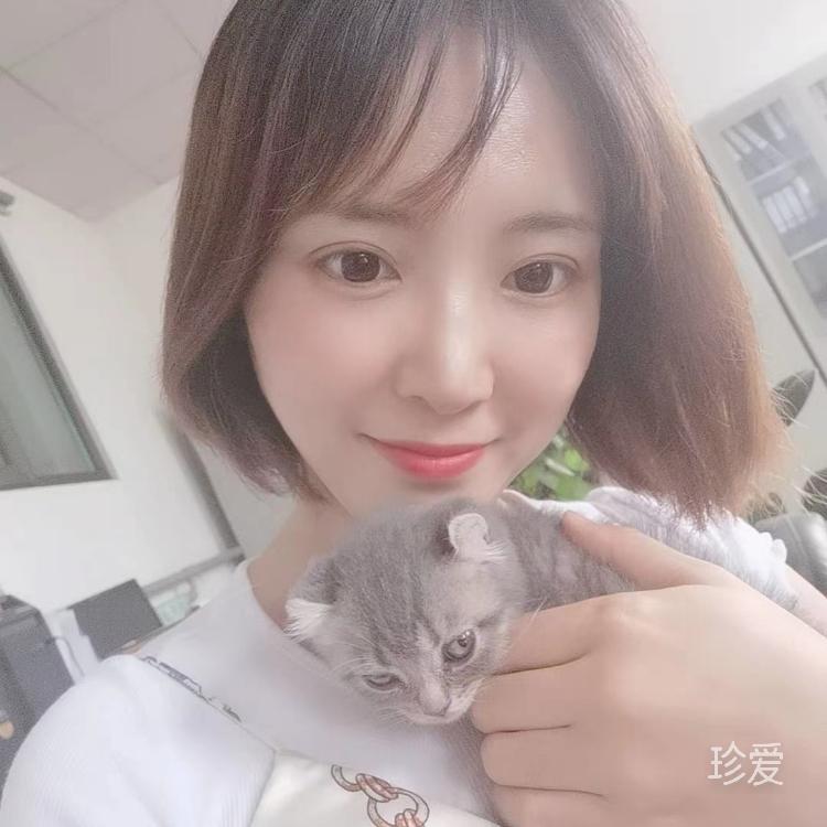 睡懒觉的猫