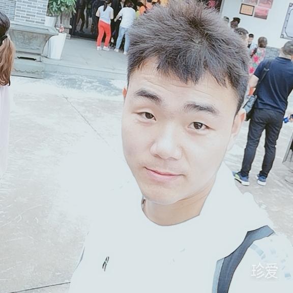 愛(ài)飛的蜜蜂