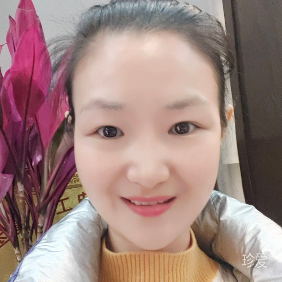 大雁子