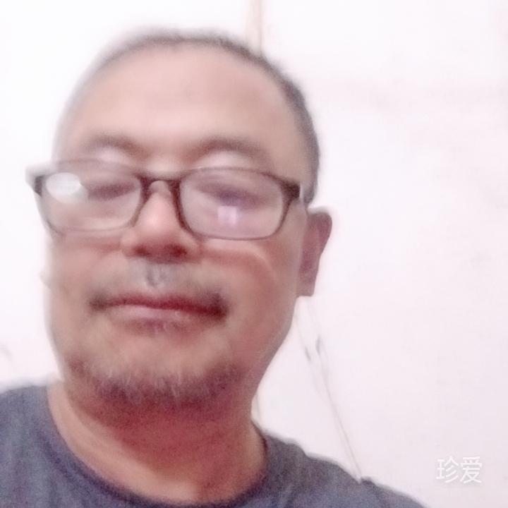 左岸的焰火