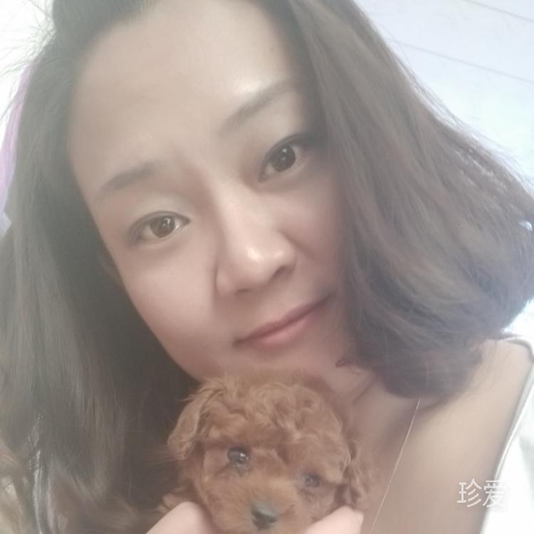 沐阳